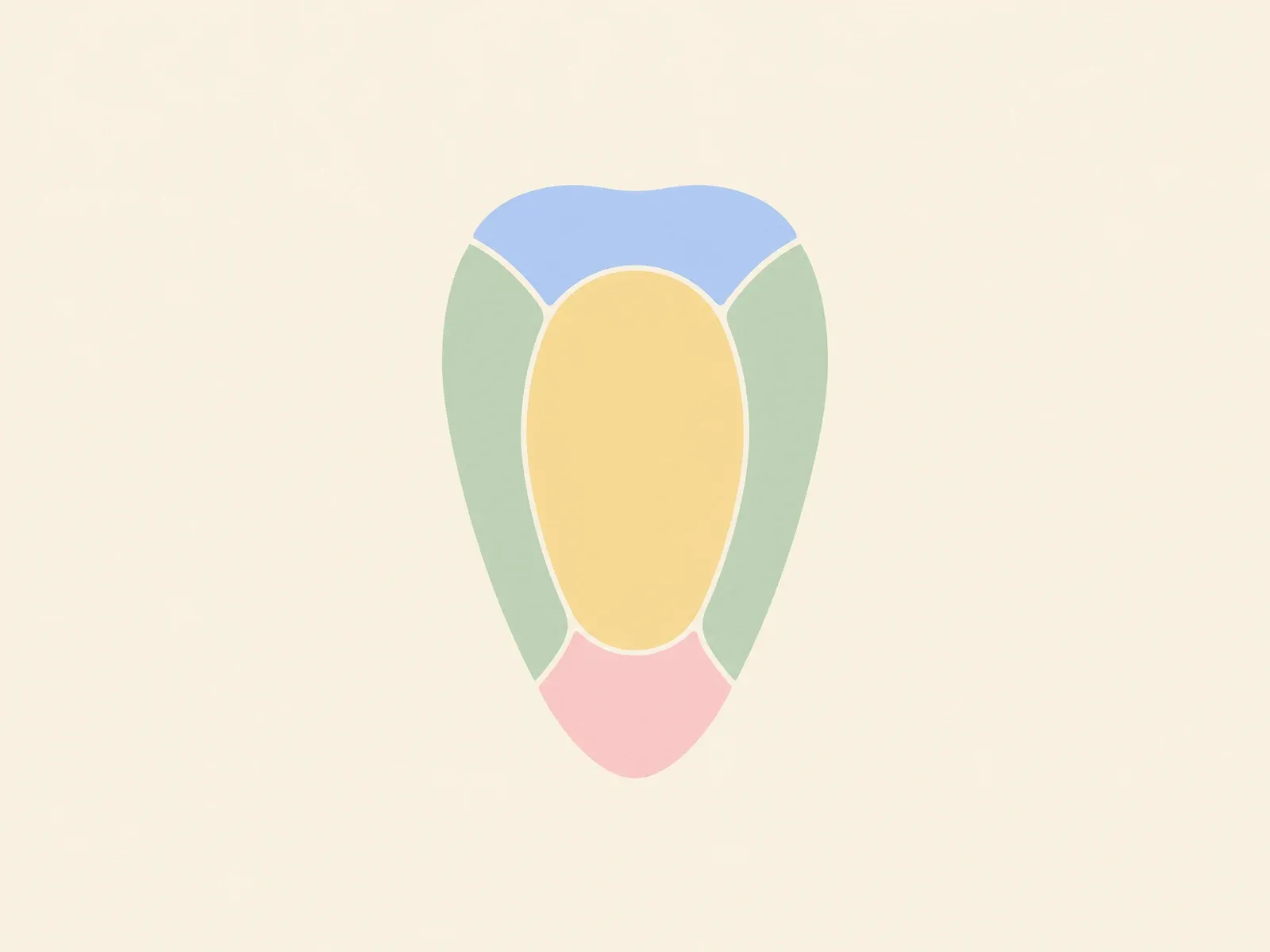 Tongue-areas diagram: a pink tip, green sides, a golden centre and a blue root, the zones TCM links with different organ systems.